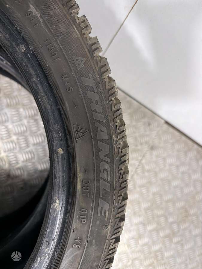 Triangle, žieminės 225/45 R17