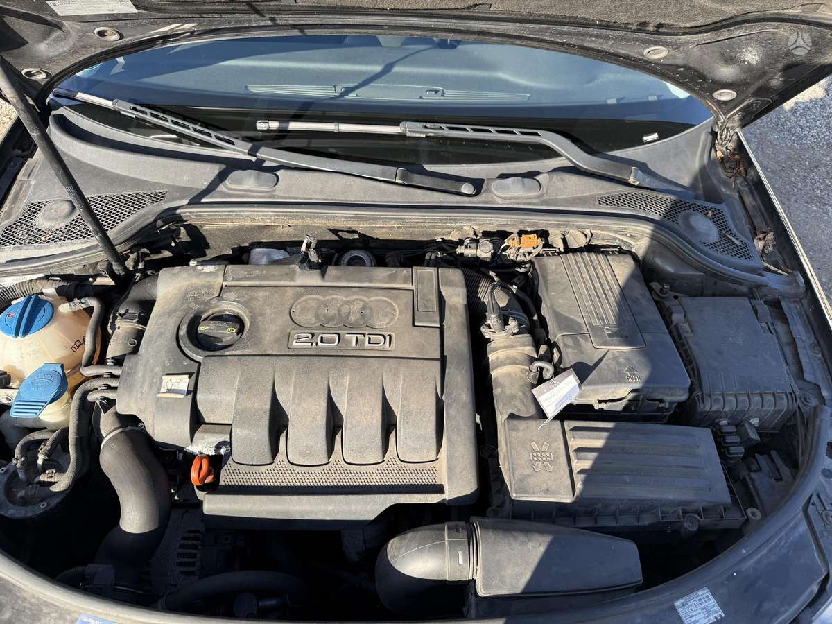 Audi A3, 2.0 l., Хэтчбек