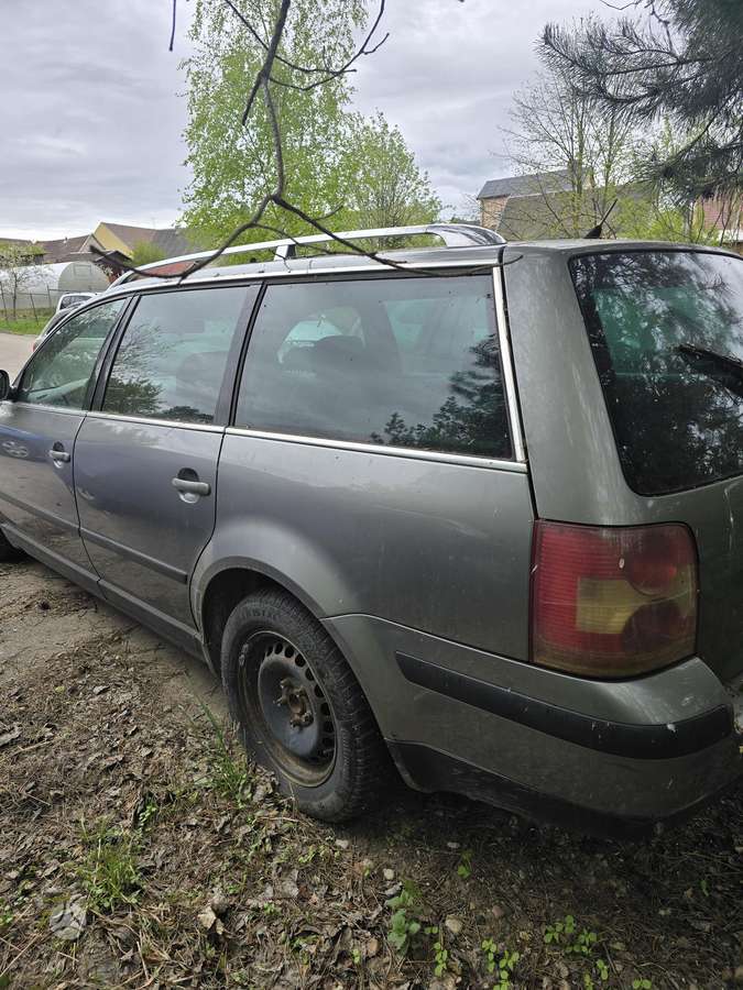 Volkswagen Passat Dalimis