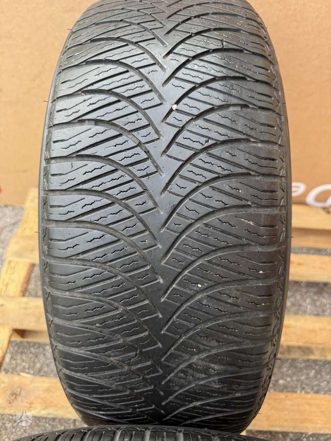 Goodride, universalios 225/55 R17
