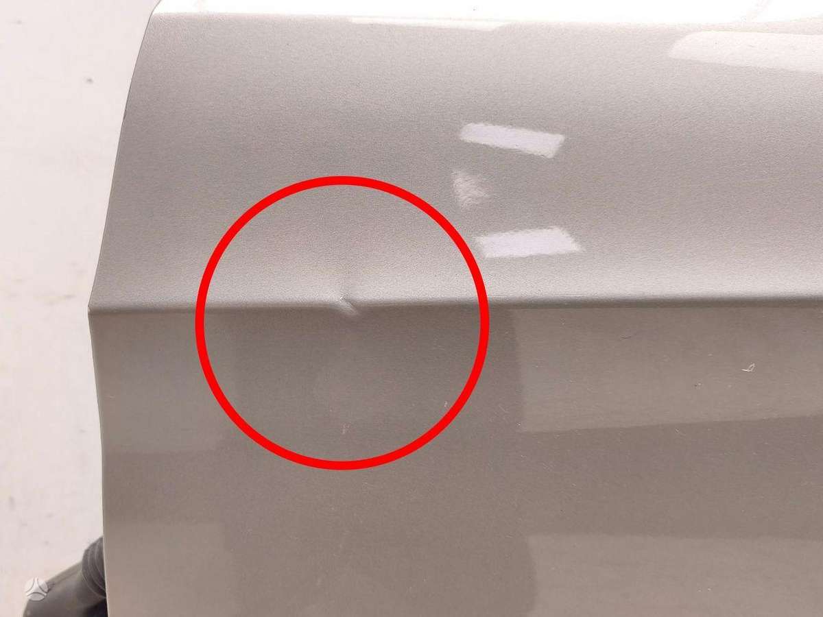Ford S-MAX doors