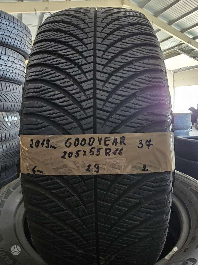 Goodyear, winter 205/55 R16
