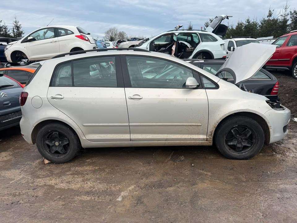 Seat Leon, Dalimis‼️caxa lhy