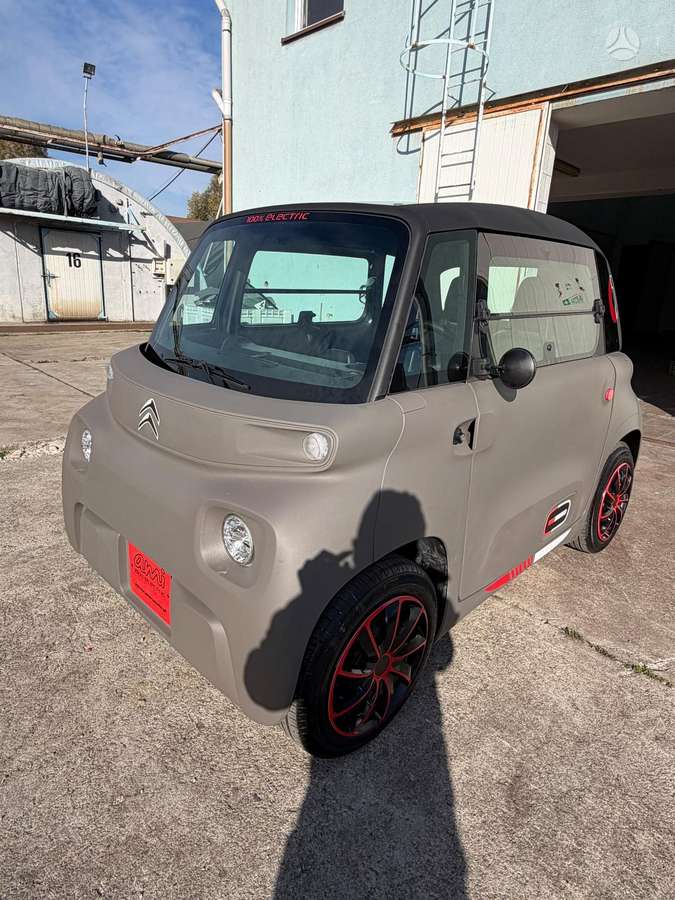 Citroen Ami, Минивэн