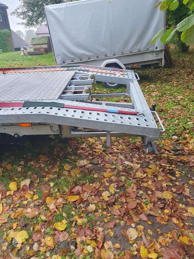 Fiat Ducato, auto vedēji