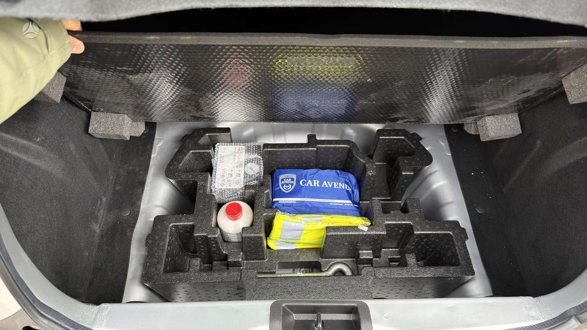 Dacia Spring, other