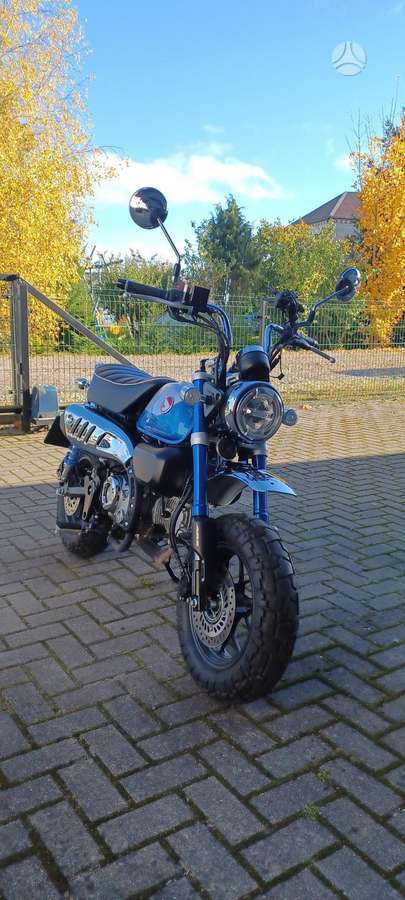 Honda Monkey 125cc, enduro / adventure