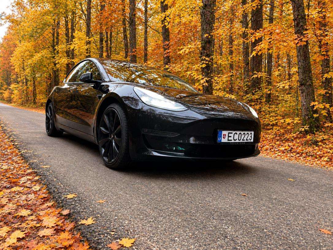 Tesla Model 3, 81 kWh, hečbeks 2021-03 m., | A32723062