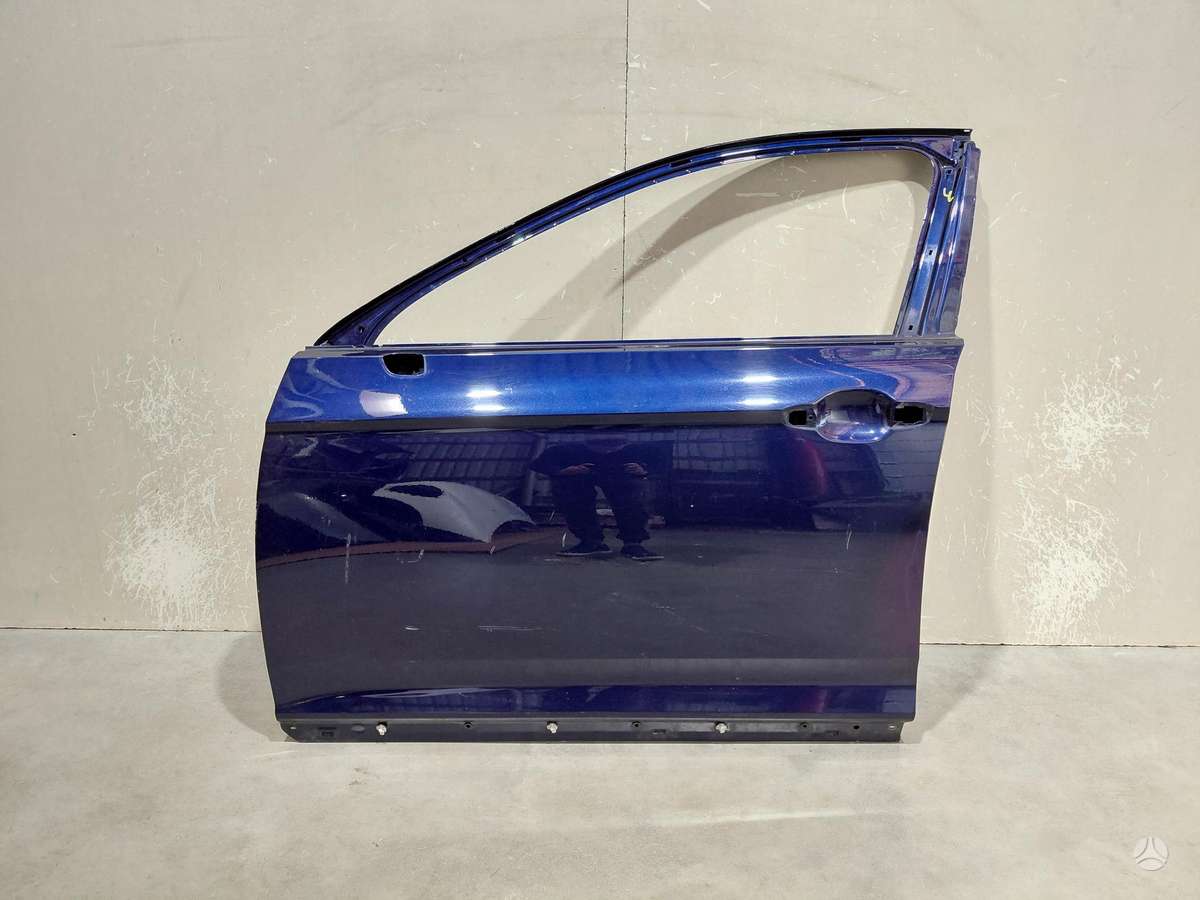 Volkswagen Passat двери