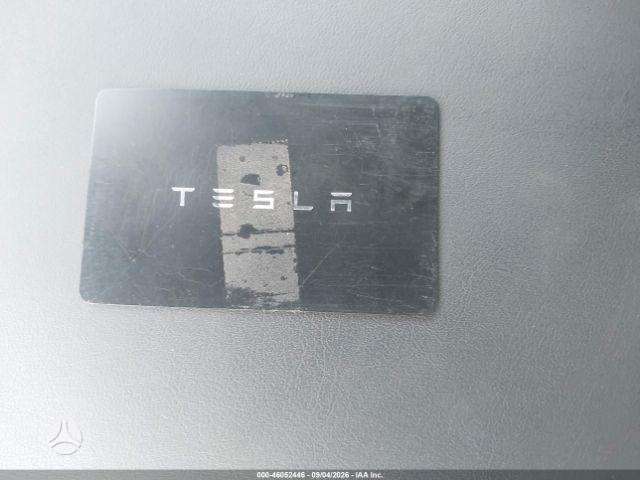 Tesla Model 3, hečbekas