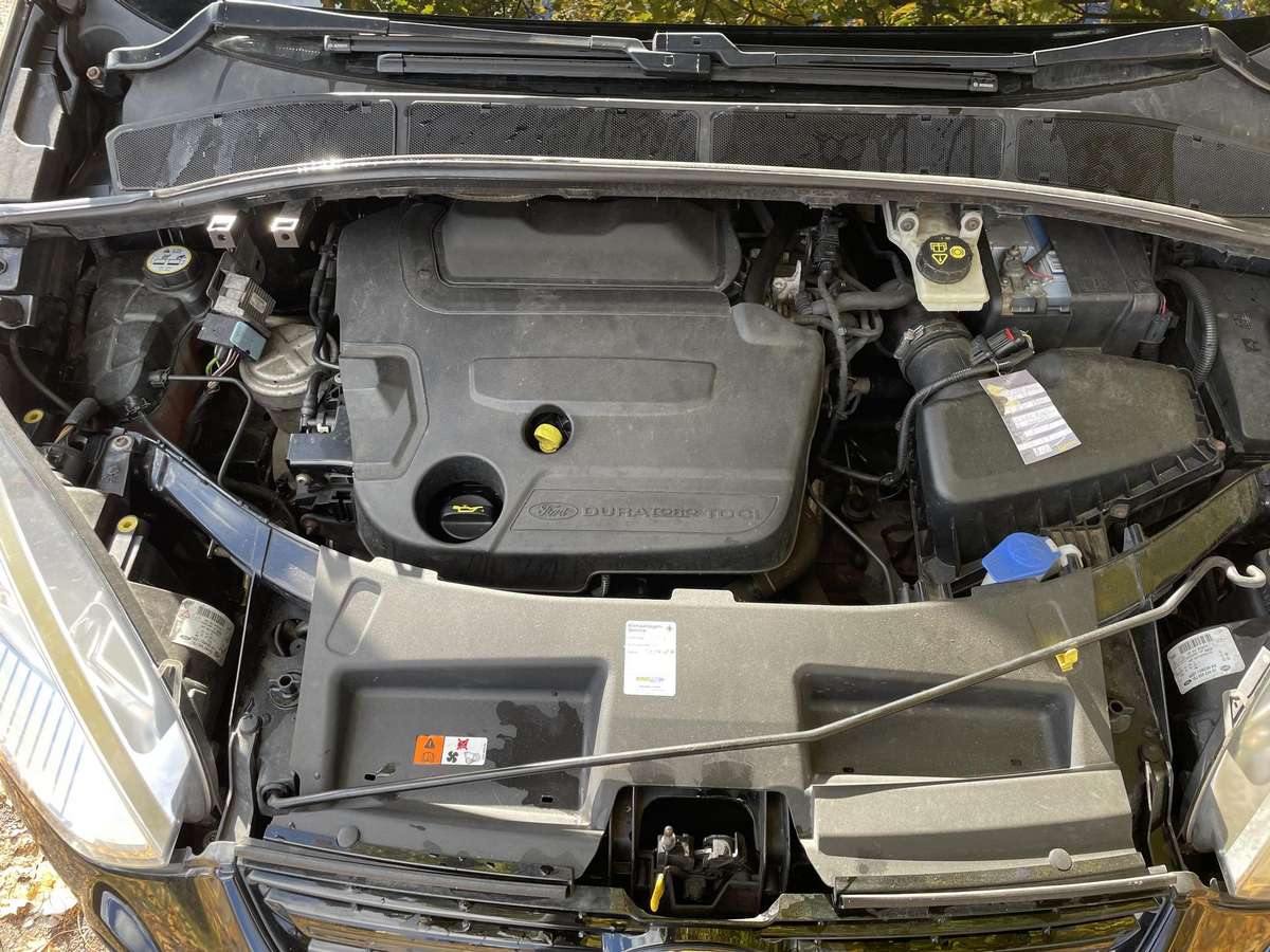 Ford S-MAX, 2.0 l., mpv / minivan
