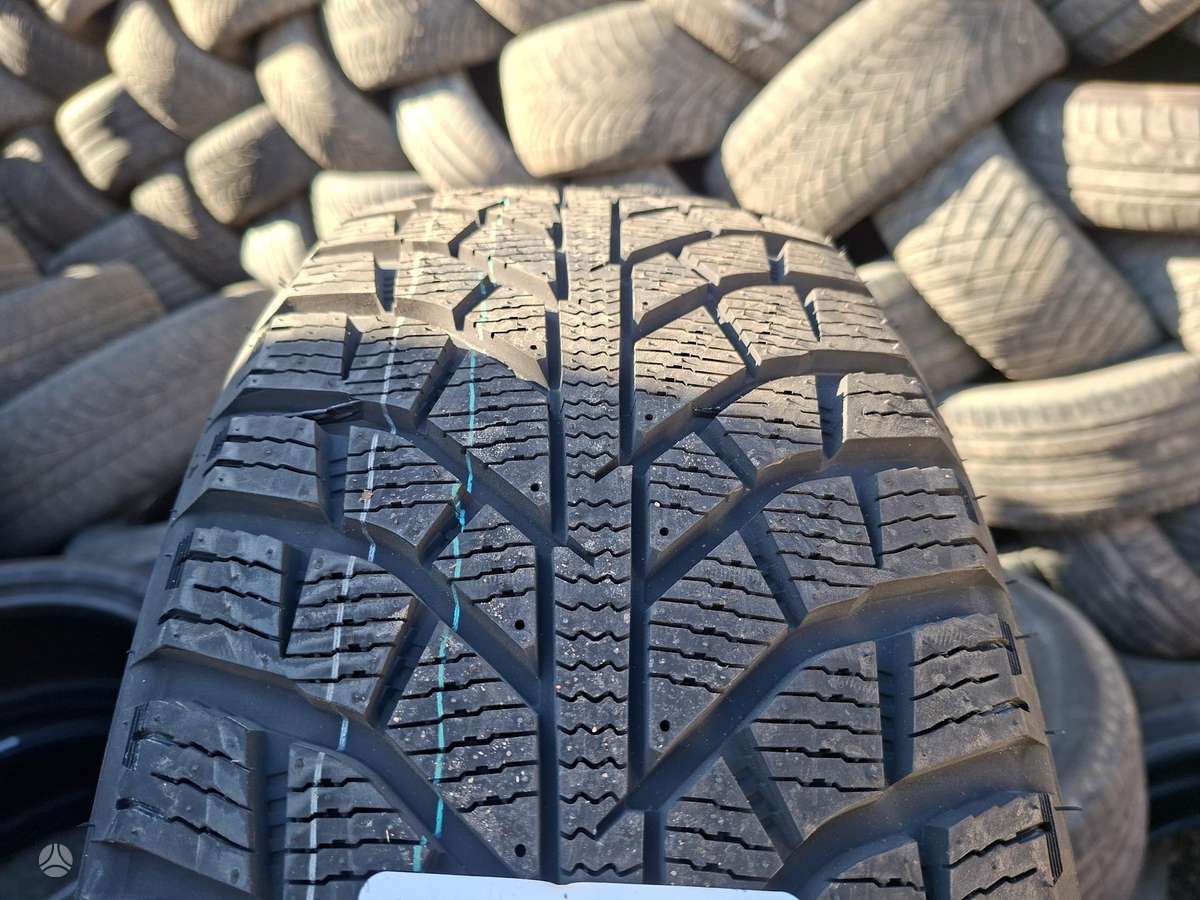 Antares, winter 225/45 R19