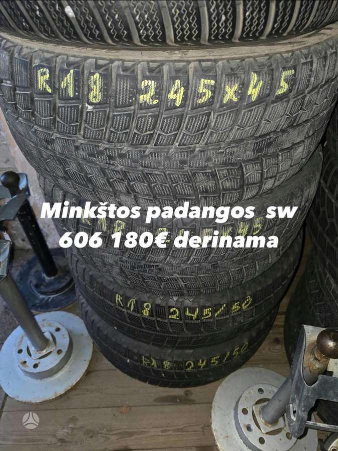 Sava, winter 225/50 R17