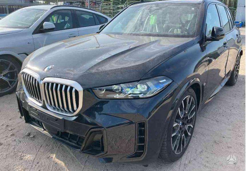 BMW X5 dalimis