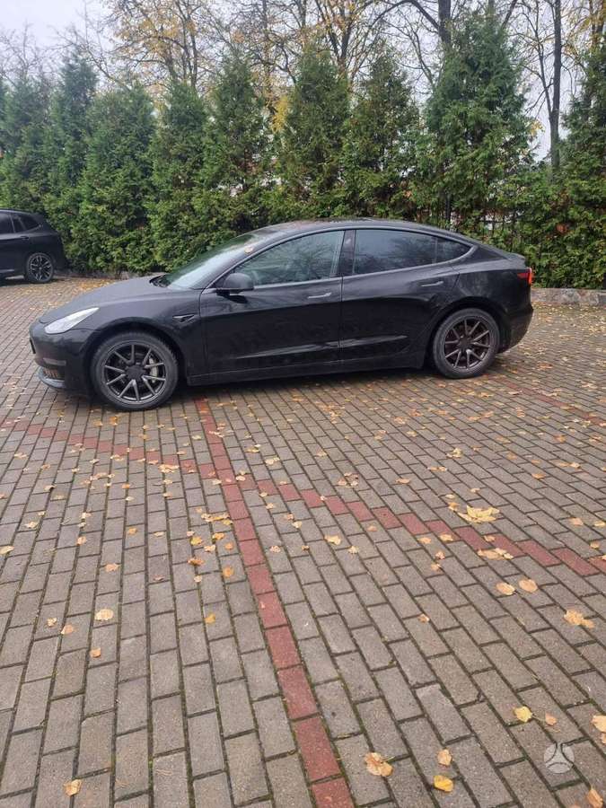 Tesla Model 3, sedanas
