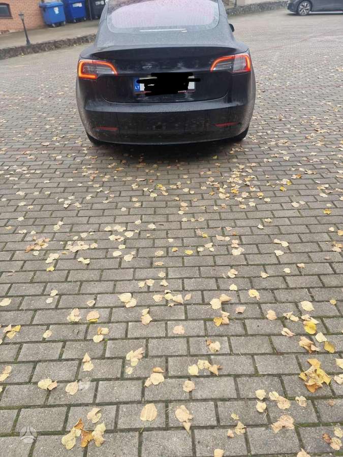 Tesla Model 3, sedanas