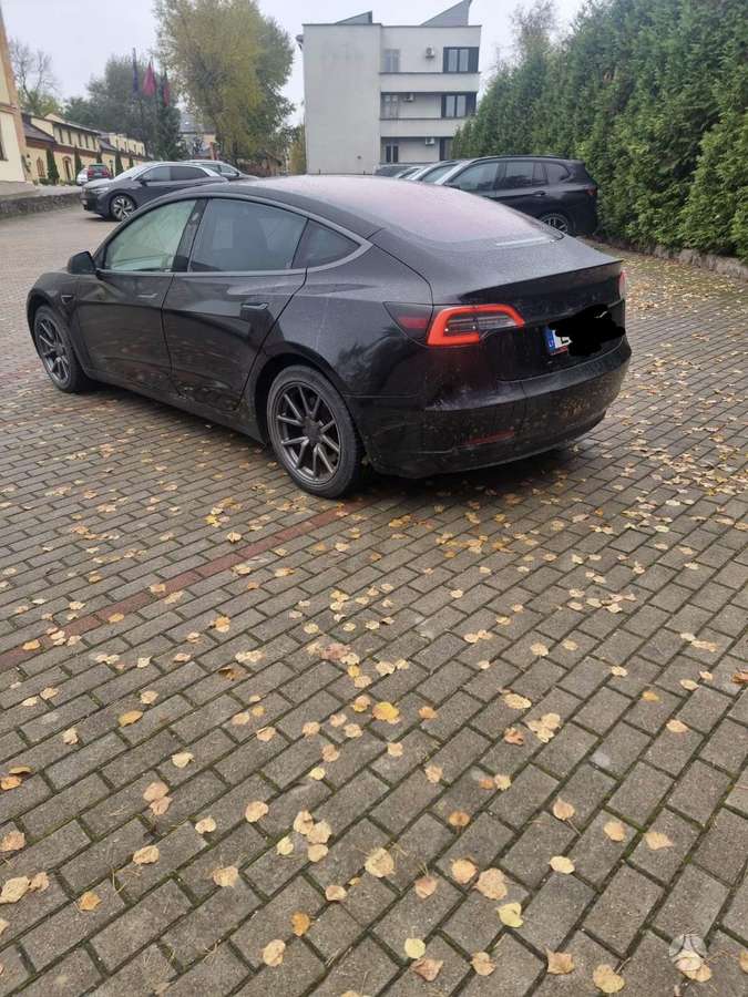 Tesla Model 3, Седан