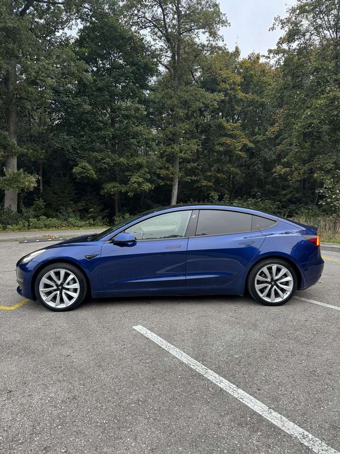 Tesla Model 3, Седан