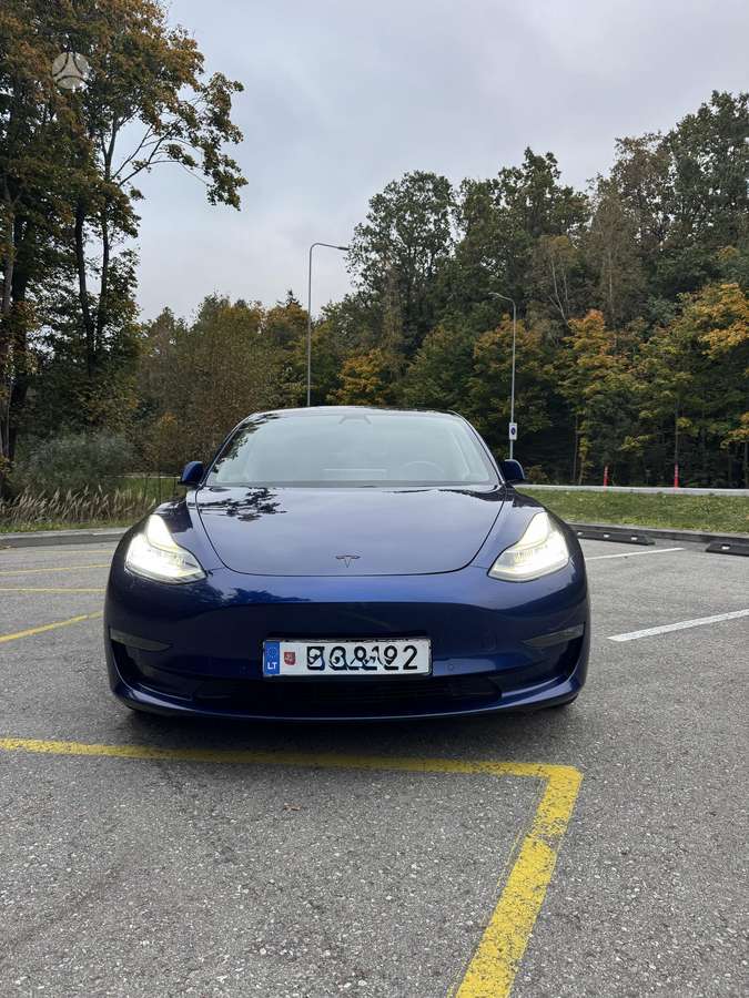 Tesla Model 3, Седан