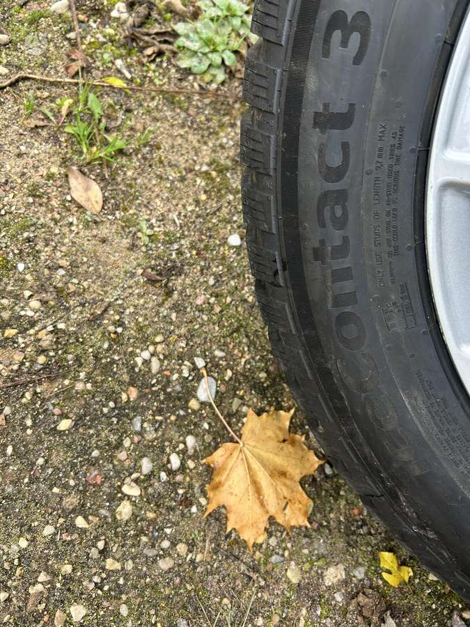 Continental, зимние 215/60 R17
