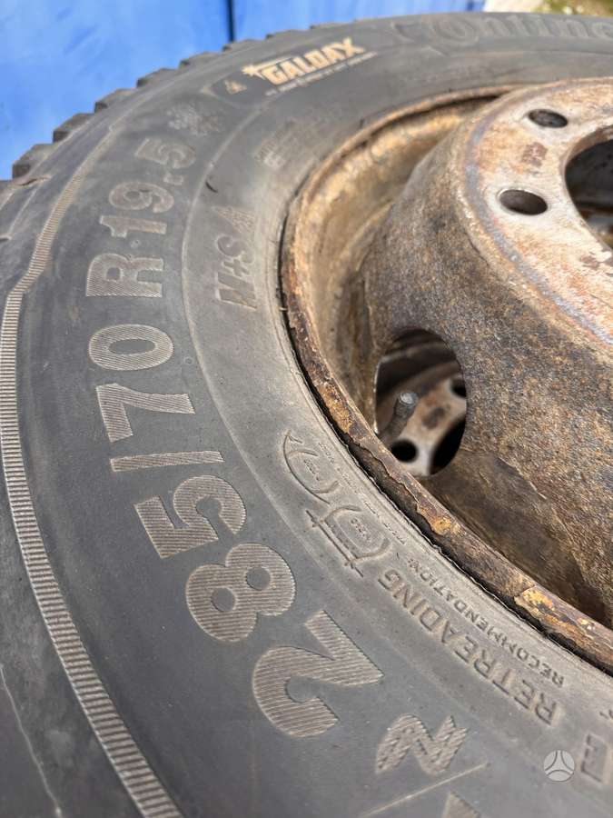 Continental, winter 285/70 R19,5