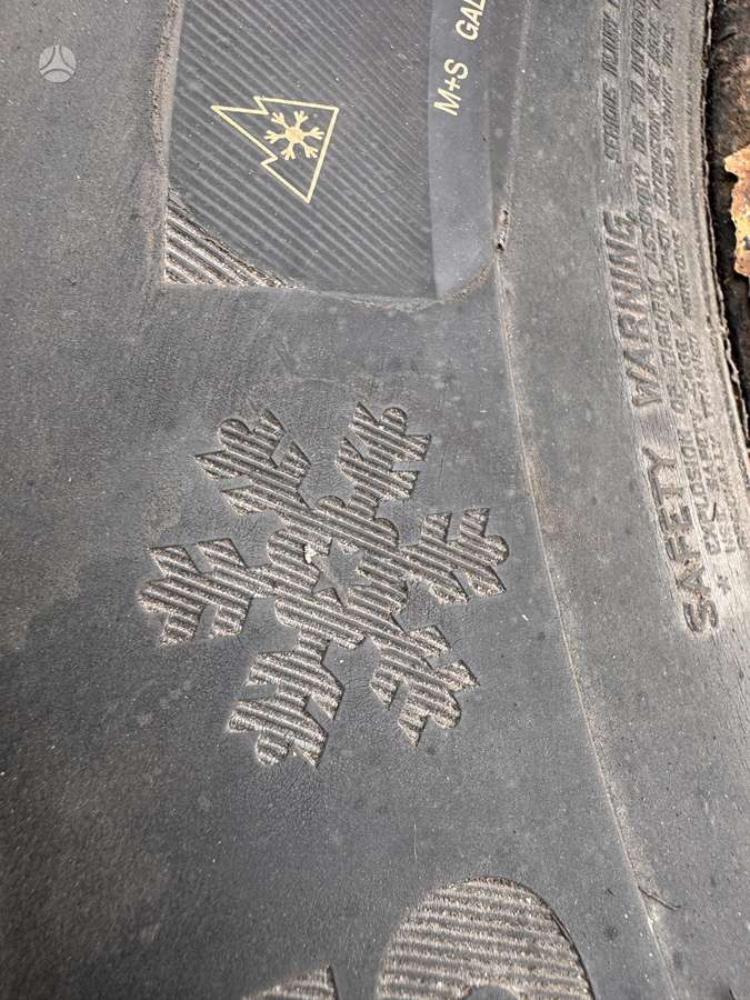 Continental, winter 285/70 R19,5