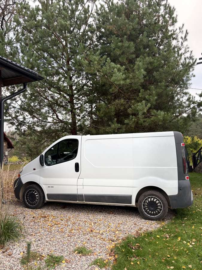 Renault Trafic, 2.0 l., Коммерческий
