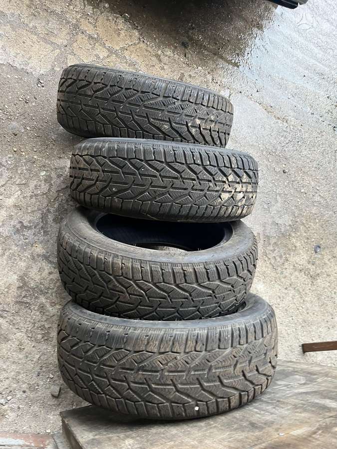 Taurus Winter, зимние 205/55 R16