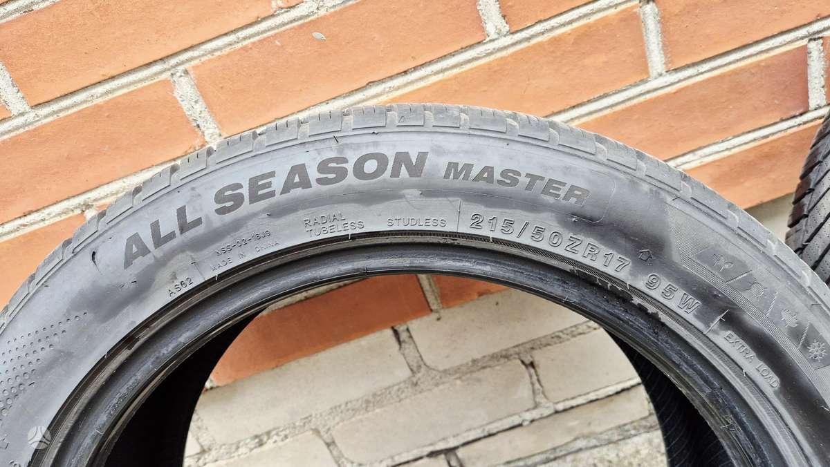 Minerva, всесезонные 215/50 R17