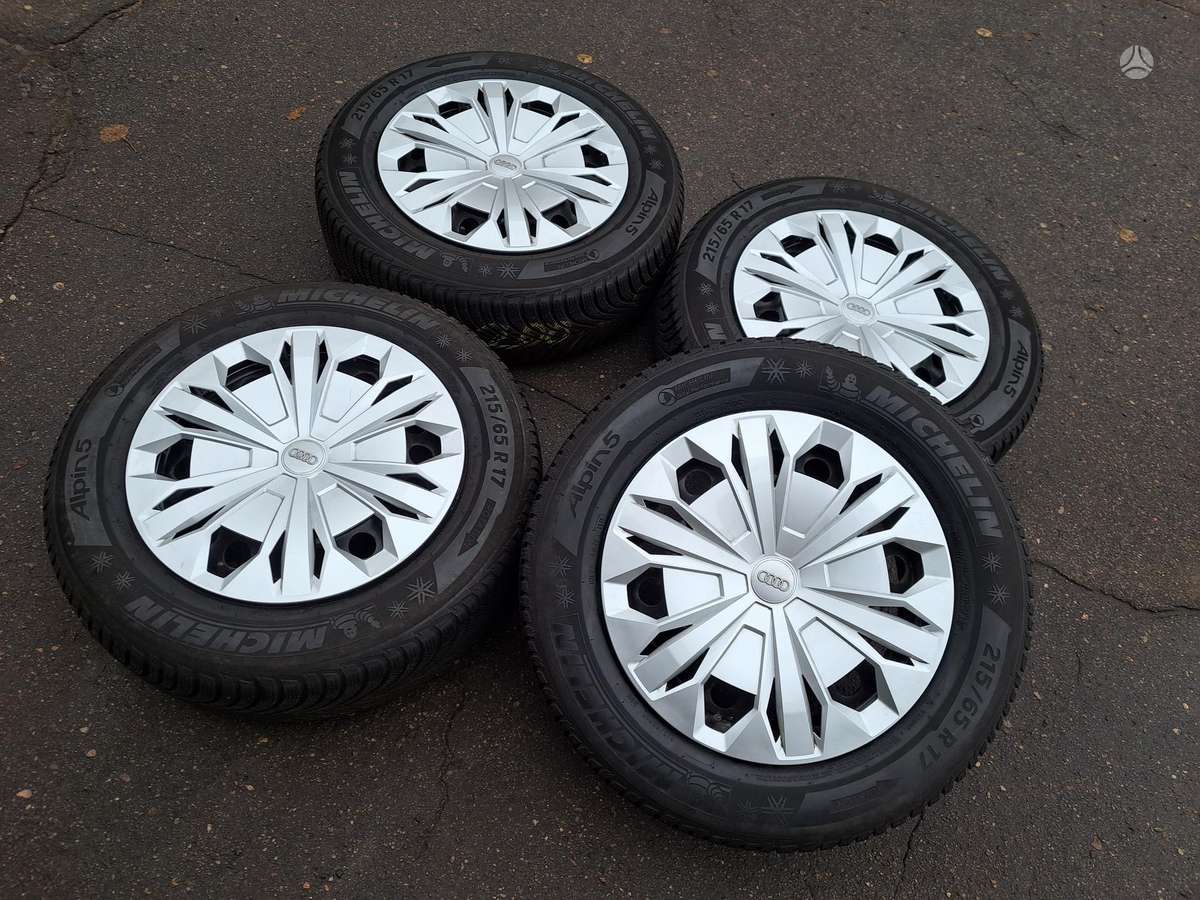 Audi Q3 Michelin, light alloy, R17