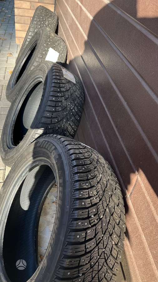 Triangle Icelynx, winter 225/55 R16