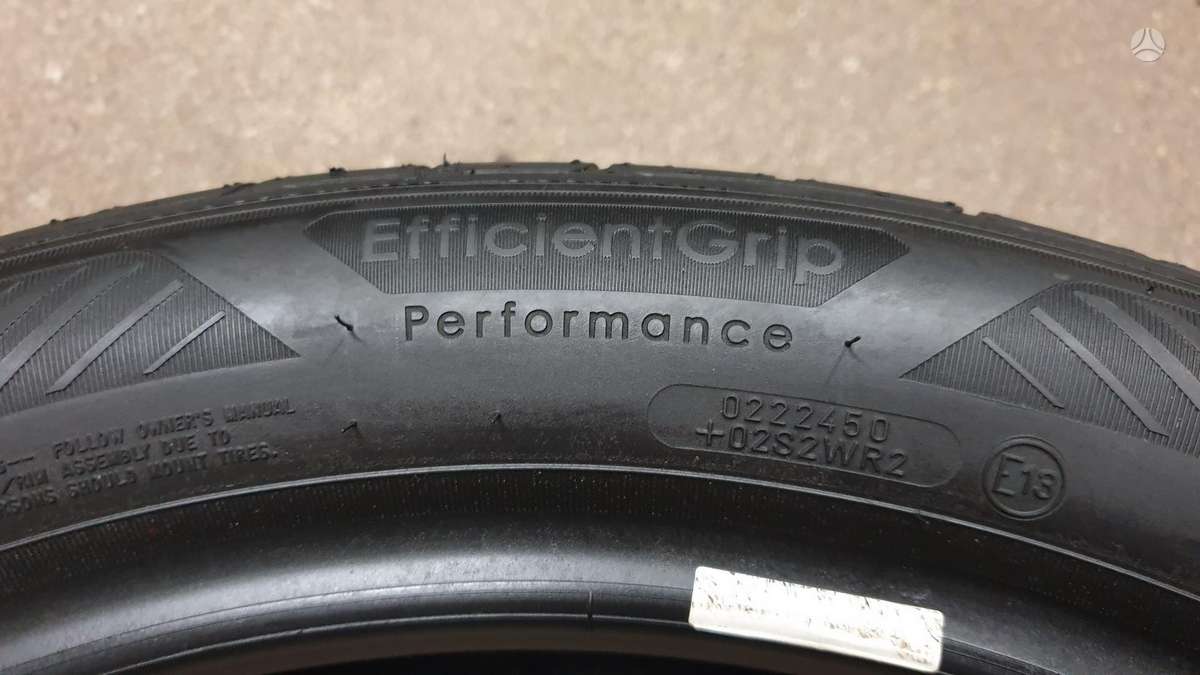 Goodyear EfficientGripPerformance, vasarinės 215/50 R19