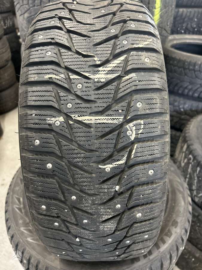 Sailun, winter 225/50 R17