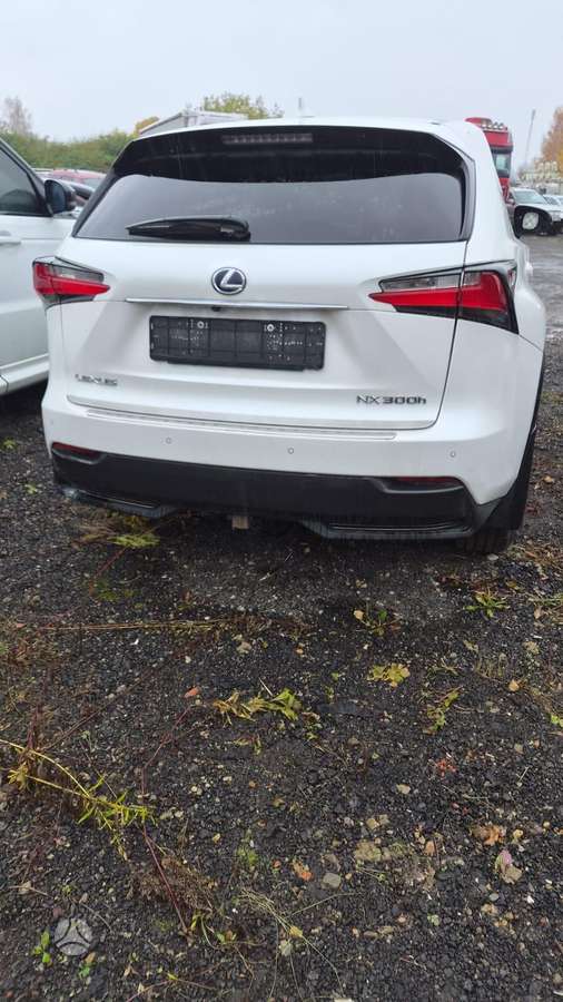 Lexus NX 300h dalimis