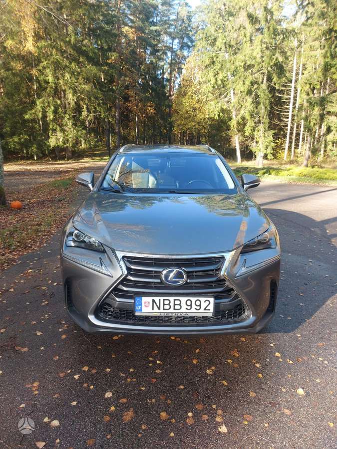 Lexus NX 300h