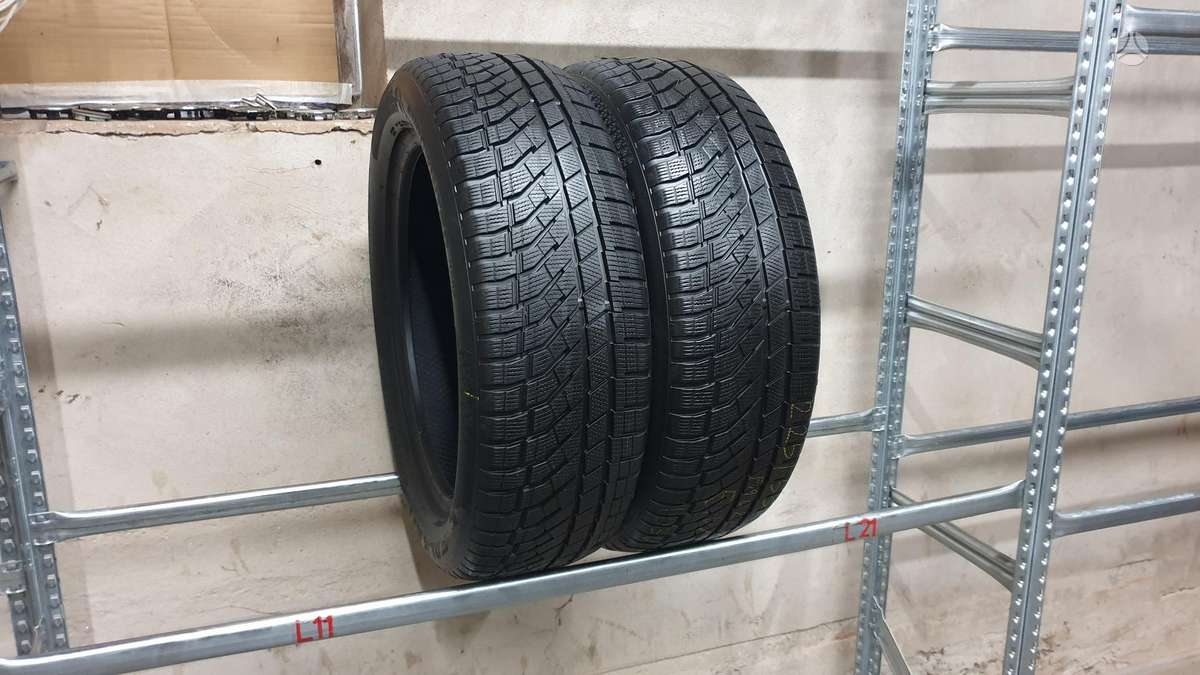 Falken EuroWinter HS02 Pro, зимние 225/55 R19