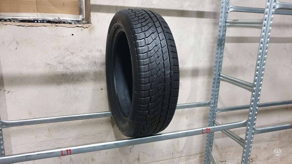Falken EuroWinter HS02 Pro, зимние 225/55 R19