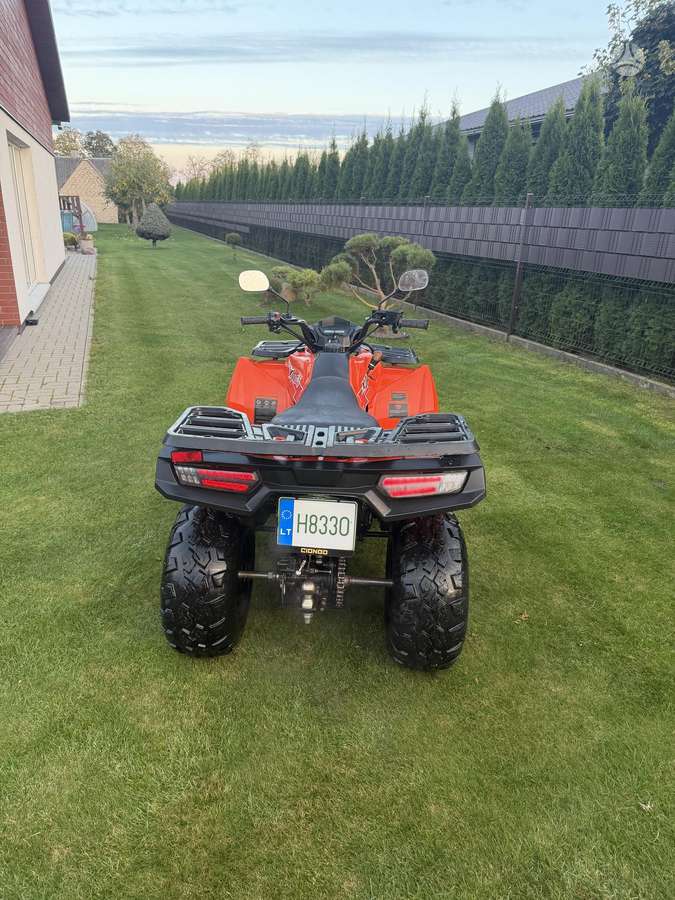 Loncin XWOLF 200 200cc, квадроциклы