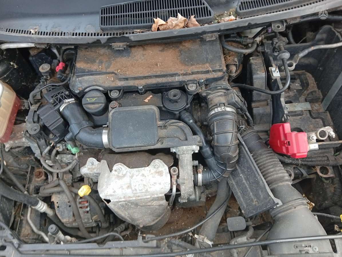 Ford Fiesta dalimis