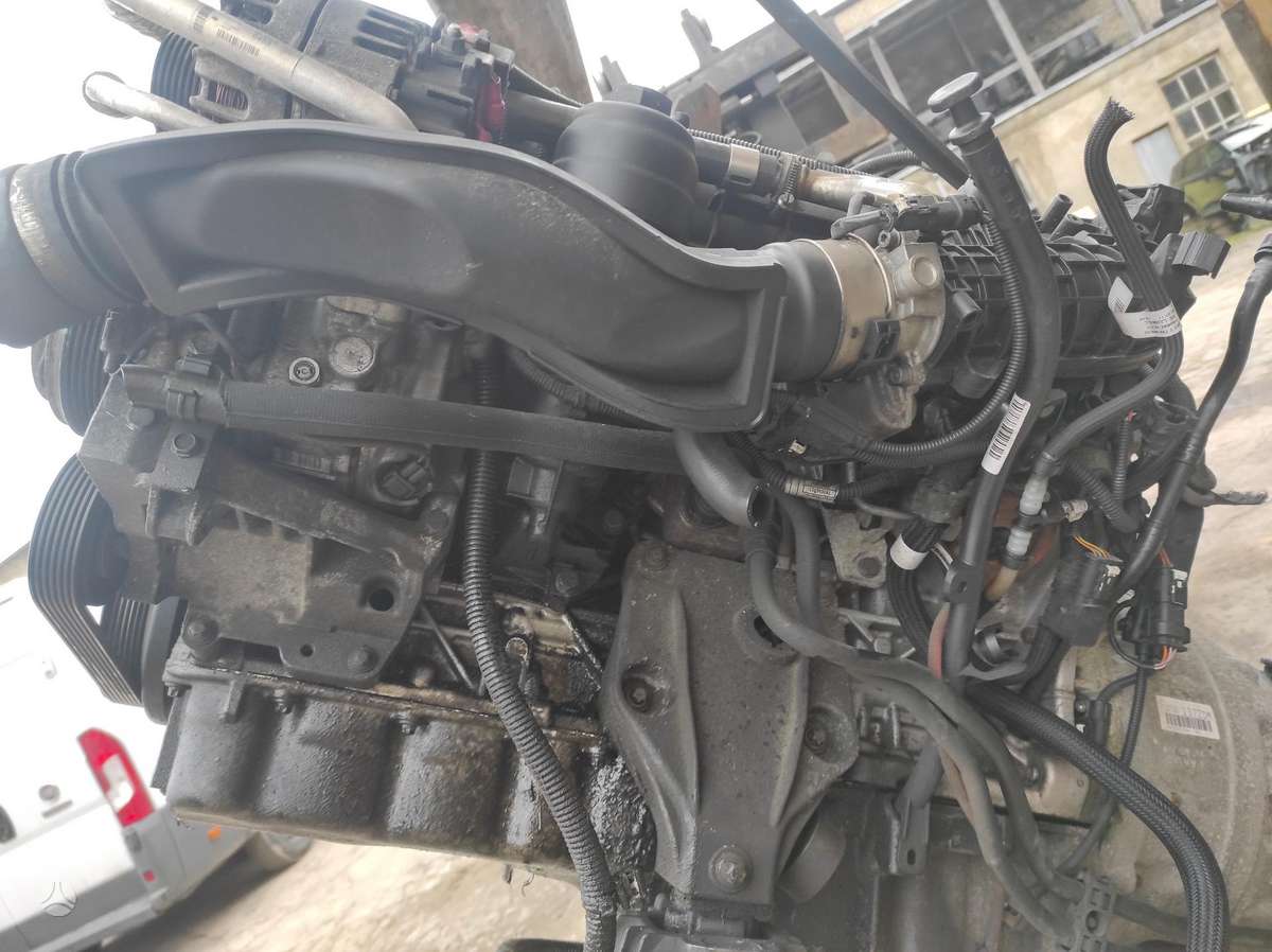 BMW 5 serija Tik variklis ir dėžė