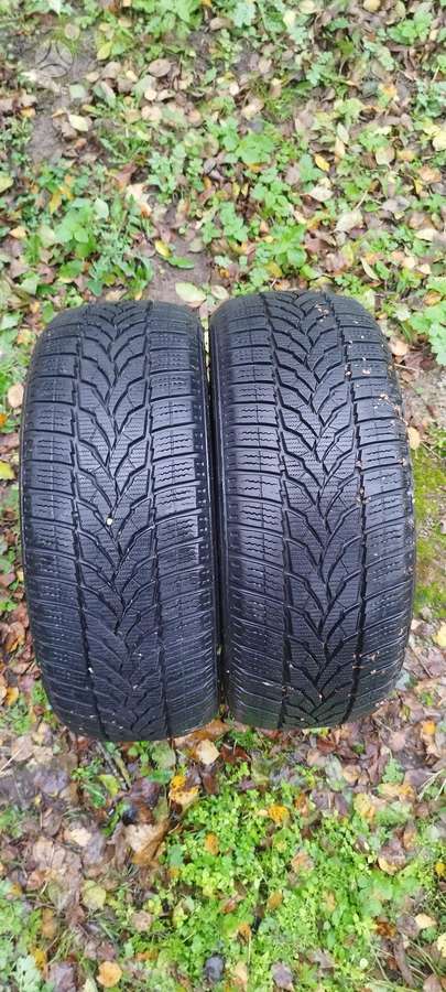 Fortuna, всесезонные 205/55 R16