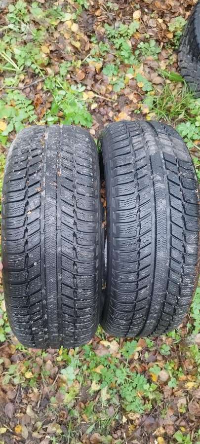 Fortuna, всесезонные 205/55 R16