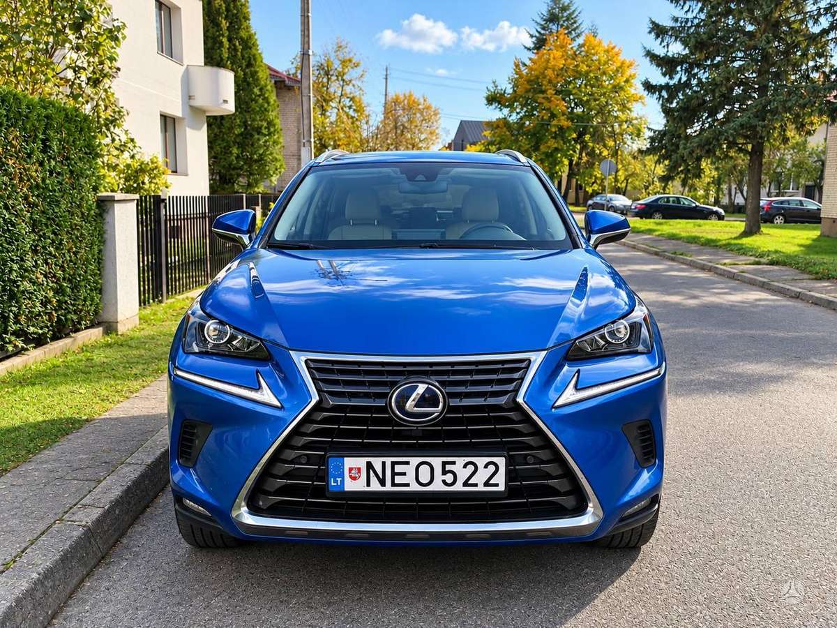 Lexus NX 300h
