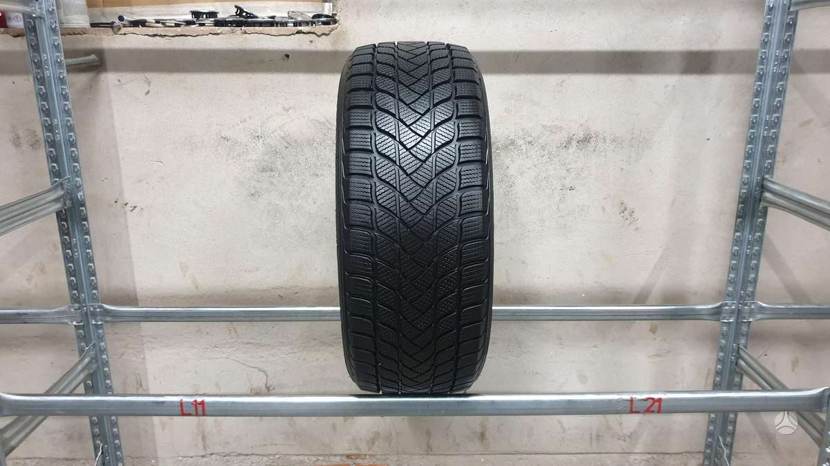 Landsail Winter Lander, žieminės 215/55 R17