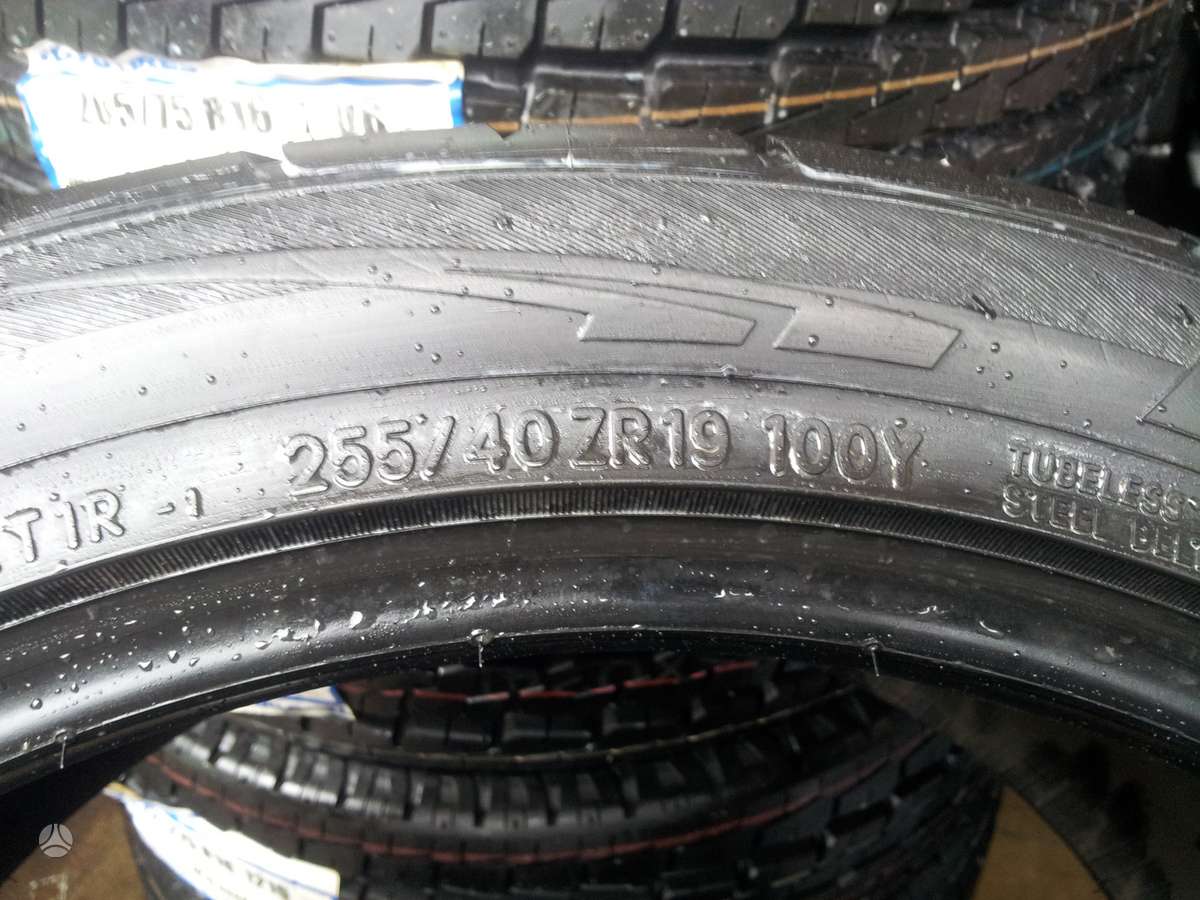 Toyo PROXES T1R, summer 255/40 R19