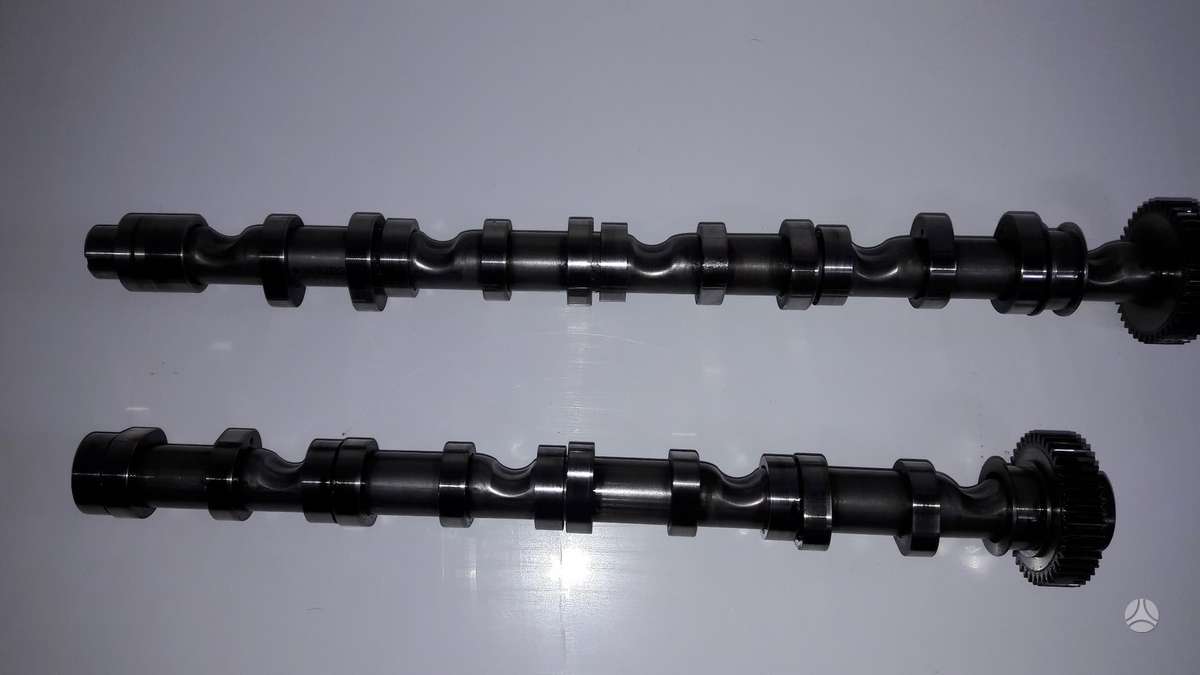 Volkswagen Golf variklio detalės