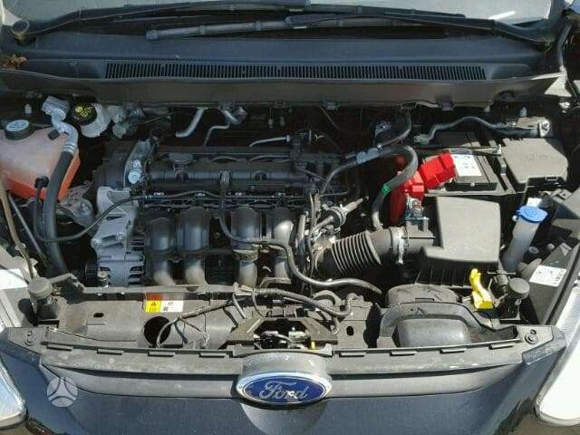 Ford B-MAX dalimis