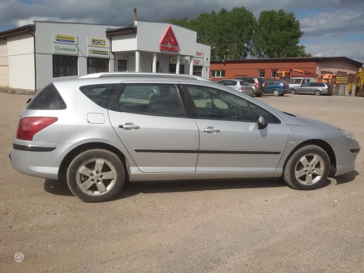 Peugeot 407 dalimis