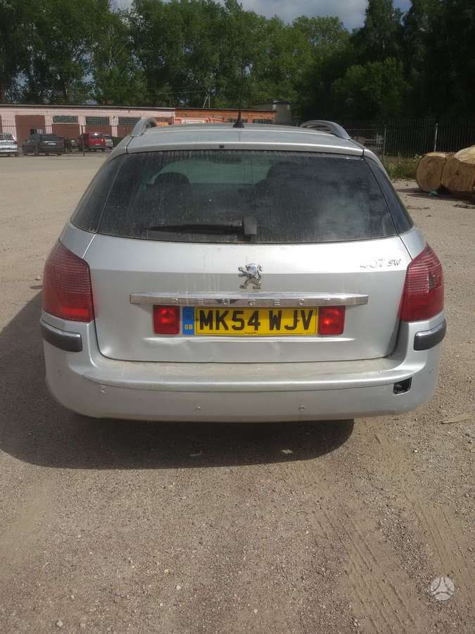 Peugeot 407 dalimis