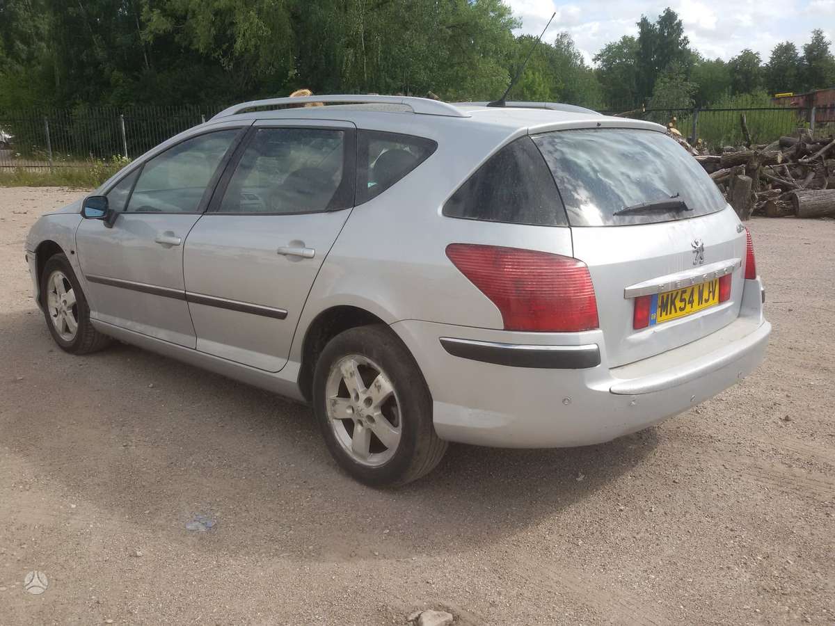 Peugeot 407 dalimis